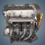 Caratteristiche e Prestazioni del Motore VAG EA111 AKQ: Specifiche e Olio