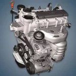 Caratteristiche e Prestazioni del Motore VAG EA111 CGPA: Specifiche e Olio